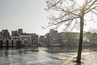 Koralensteeg - Haarlem